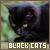 Black Cats